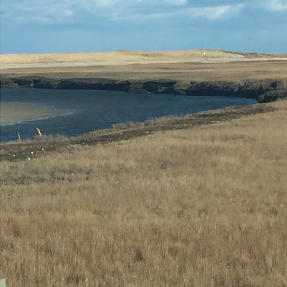 Meet your Posher, Joan - Picture 3 of 4